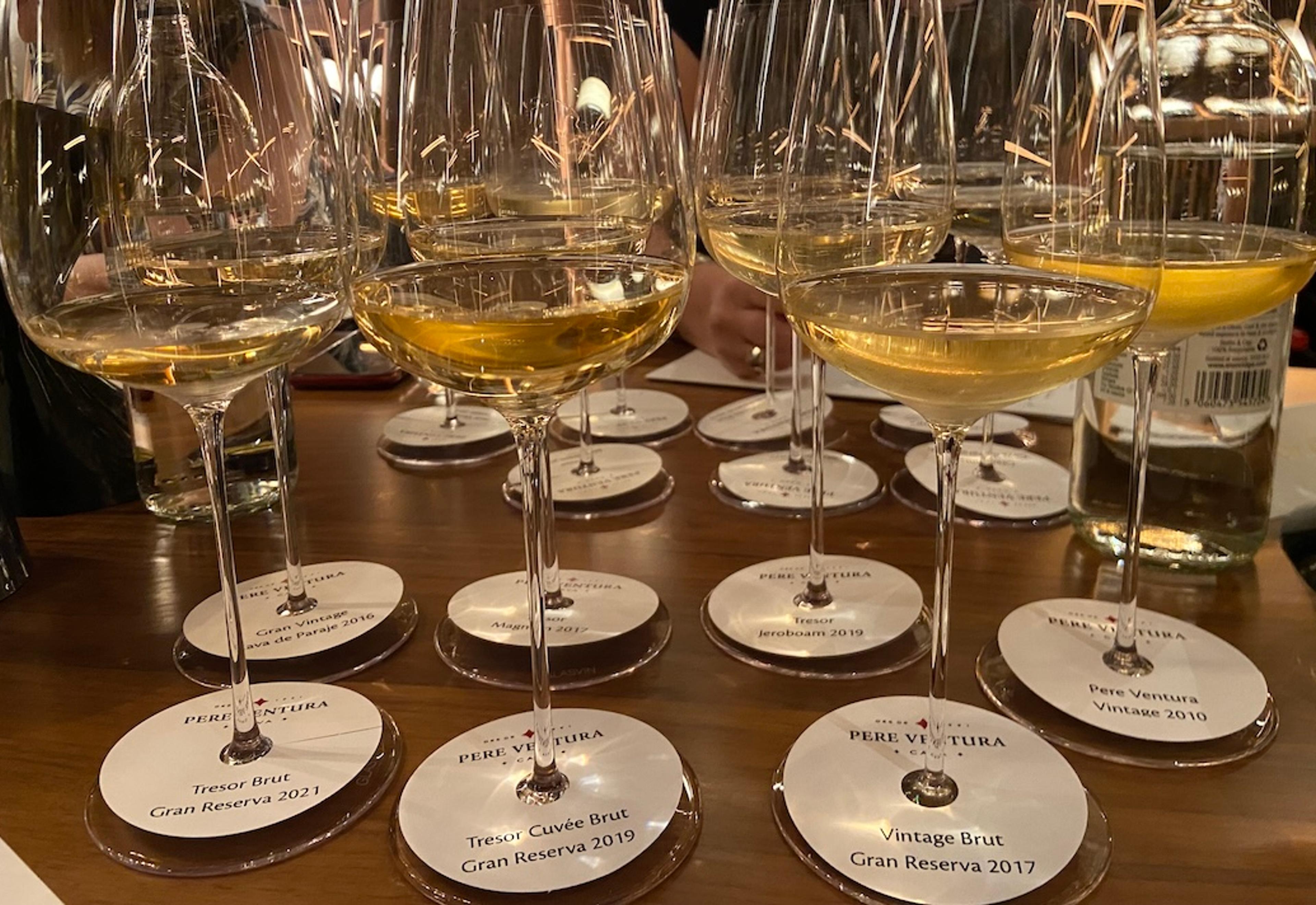 Why future profits lie in the past for top Cava producer Pere Ventura