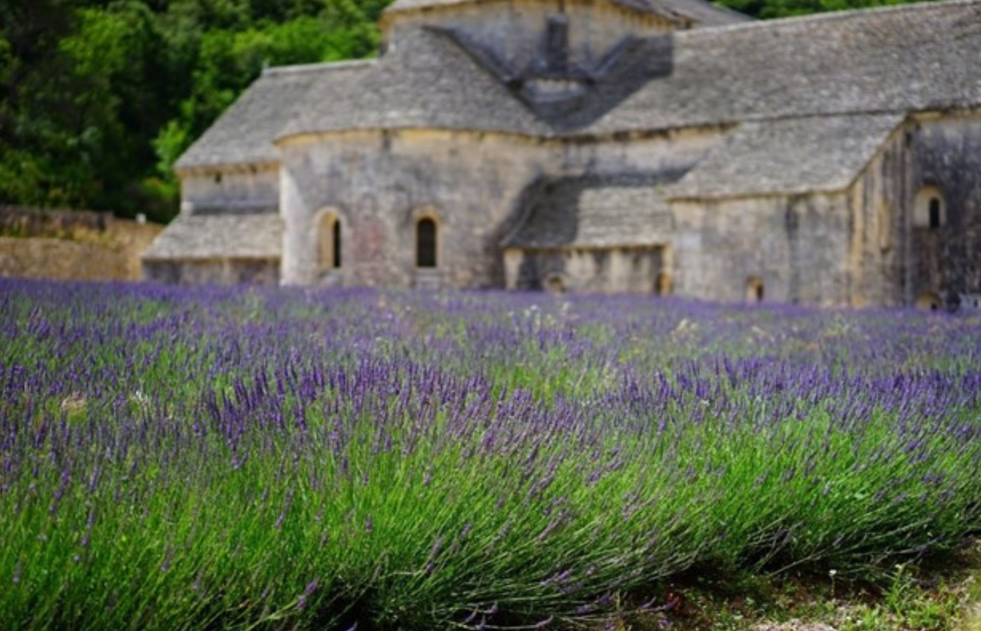 Move to ‘Cru’ system highlights the true variety of Provence Rosé  