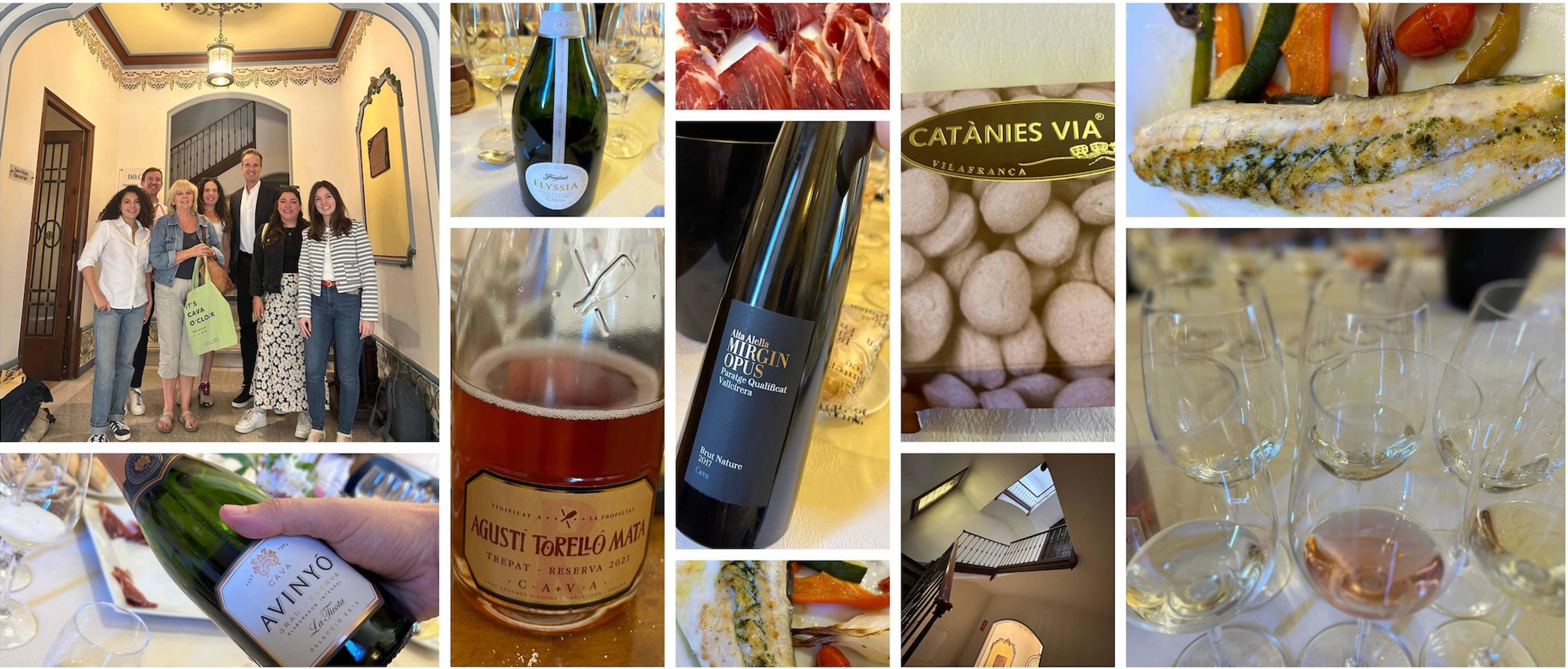 Why producer collaboration is key to the successful future of DO Cava