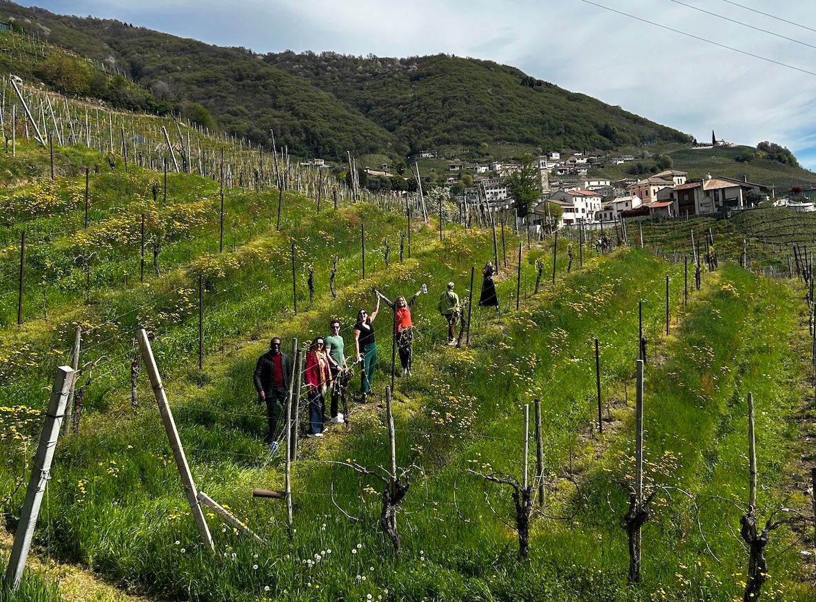Is the ‘sleeping giant’ of premium DOCG Prosecco waking up? 