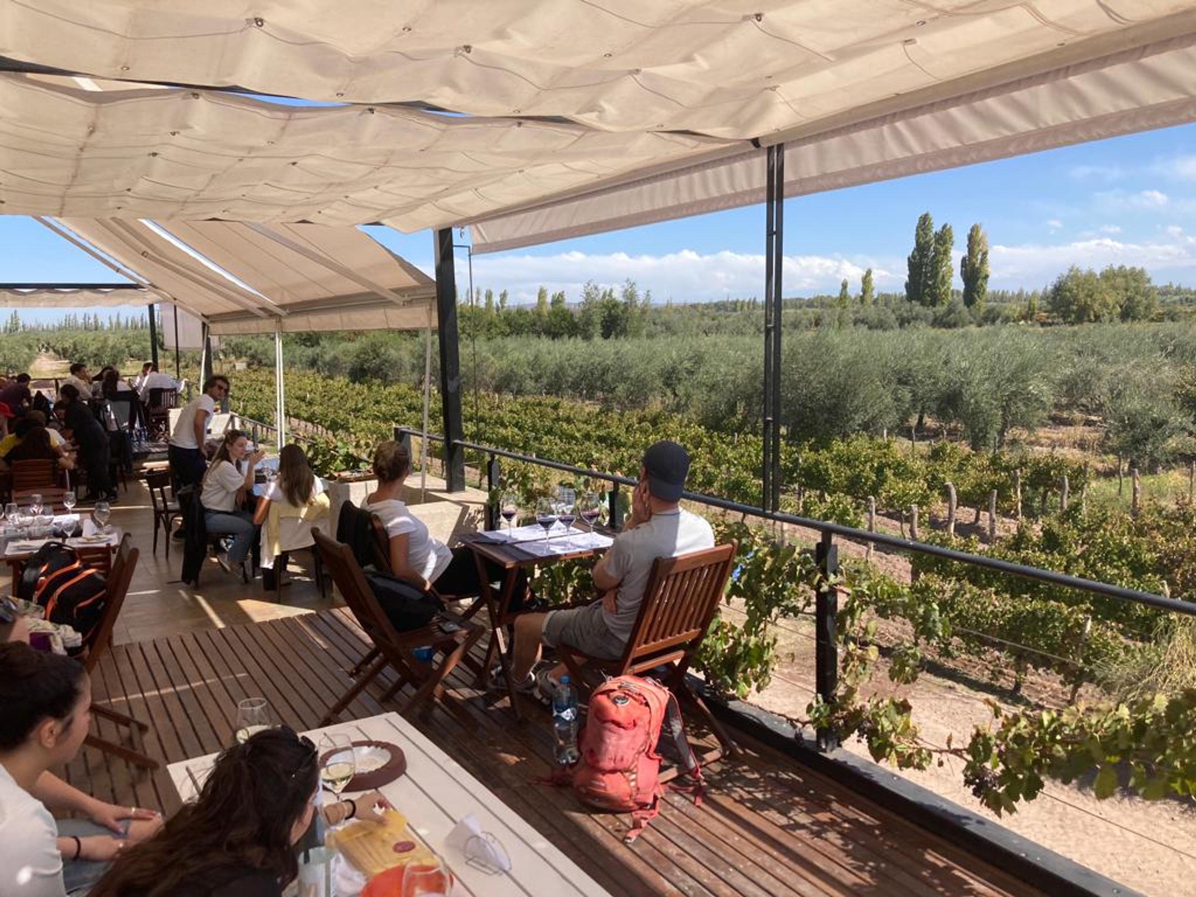 David Crowe on being a ‘wine tourist’ in South America  