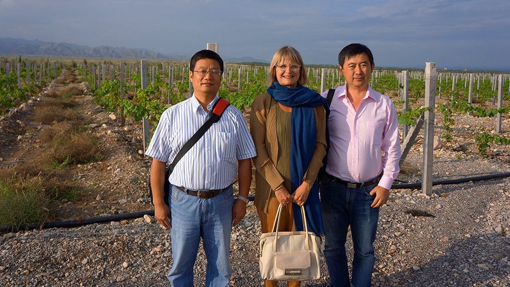 Janet Wang discovers the viticultural revolution of China