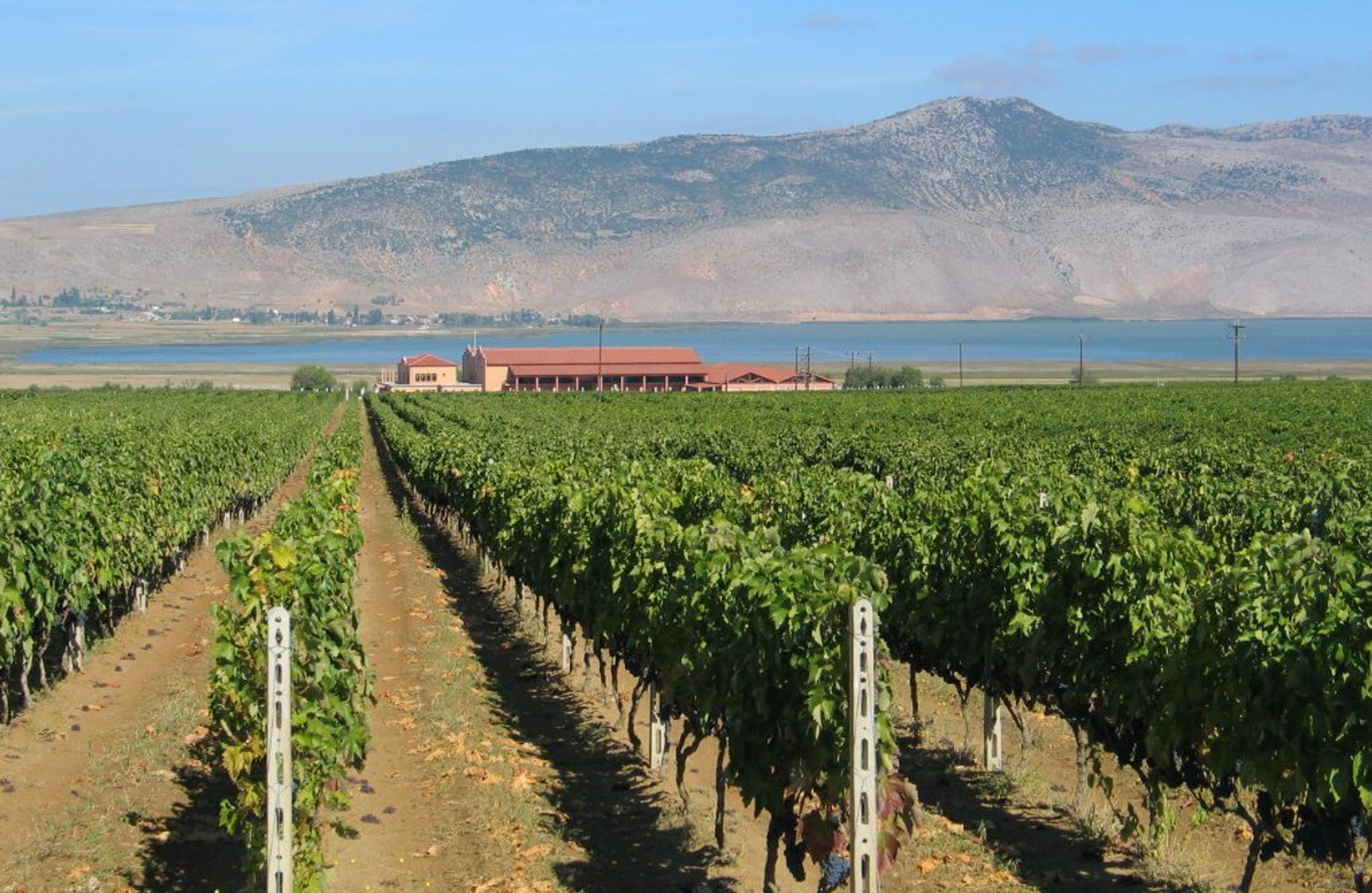 Roger Jones visits Alpha Estate, Greece’s state-of-the-art winery