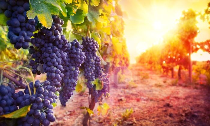 Robert Mason: let’s understand and sell English wines better