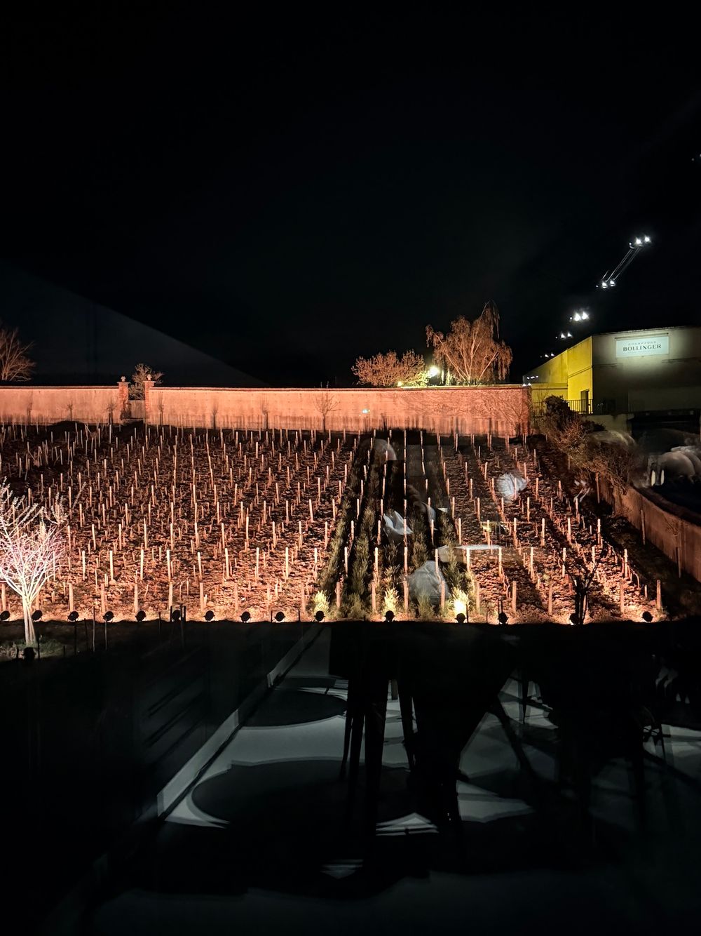 La Grande Année 2018 Brut