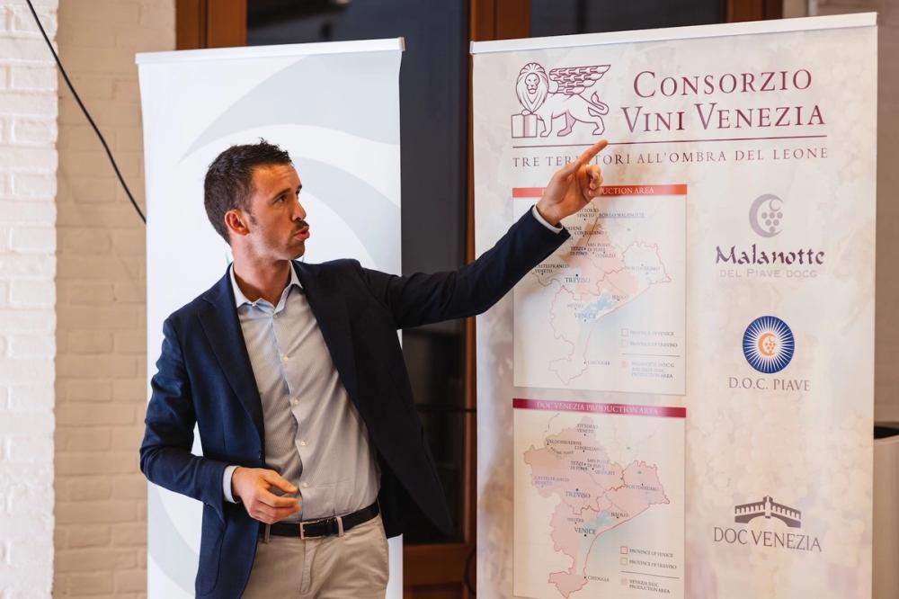 Vini Colli Berici DOC and Lison DOCG