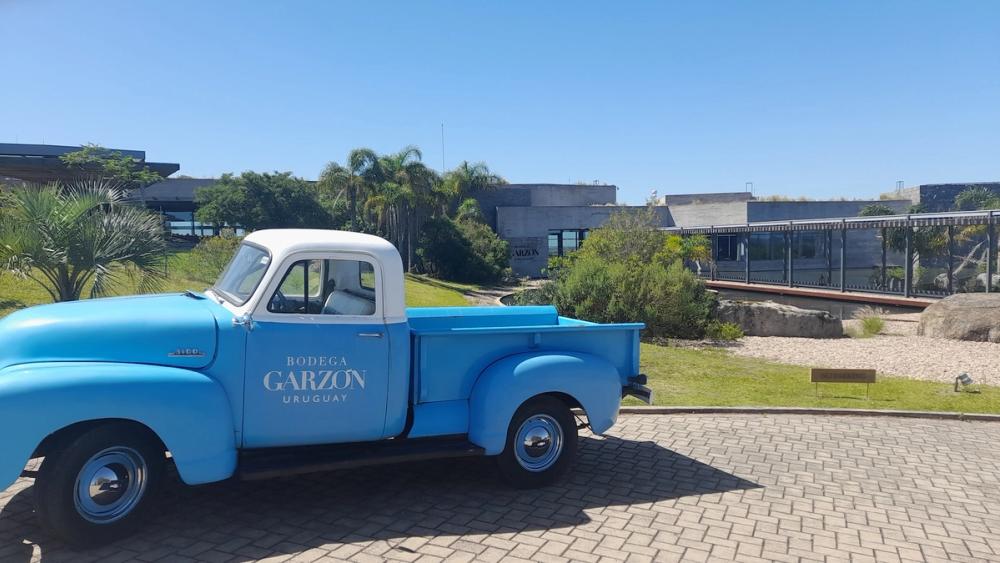 Uruguay wine