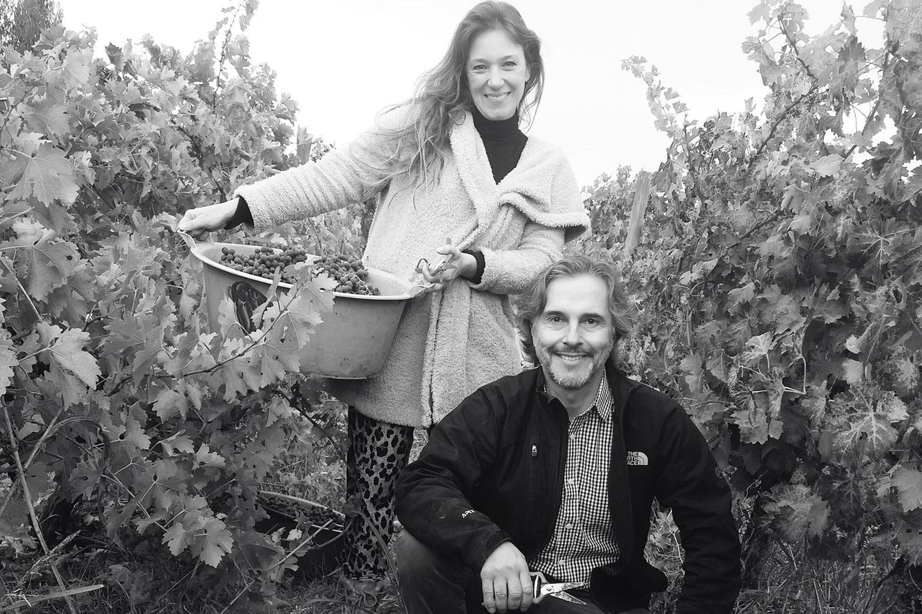 Marco Puyo’s Viña Dagaz ‘world class’ Chilean wines