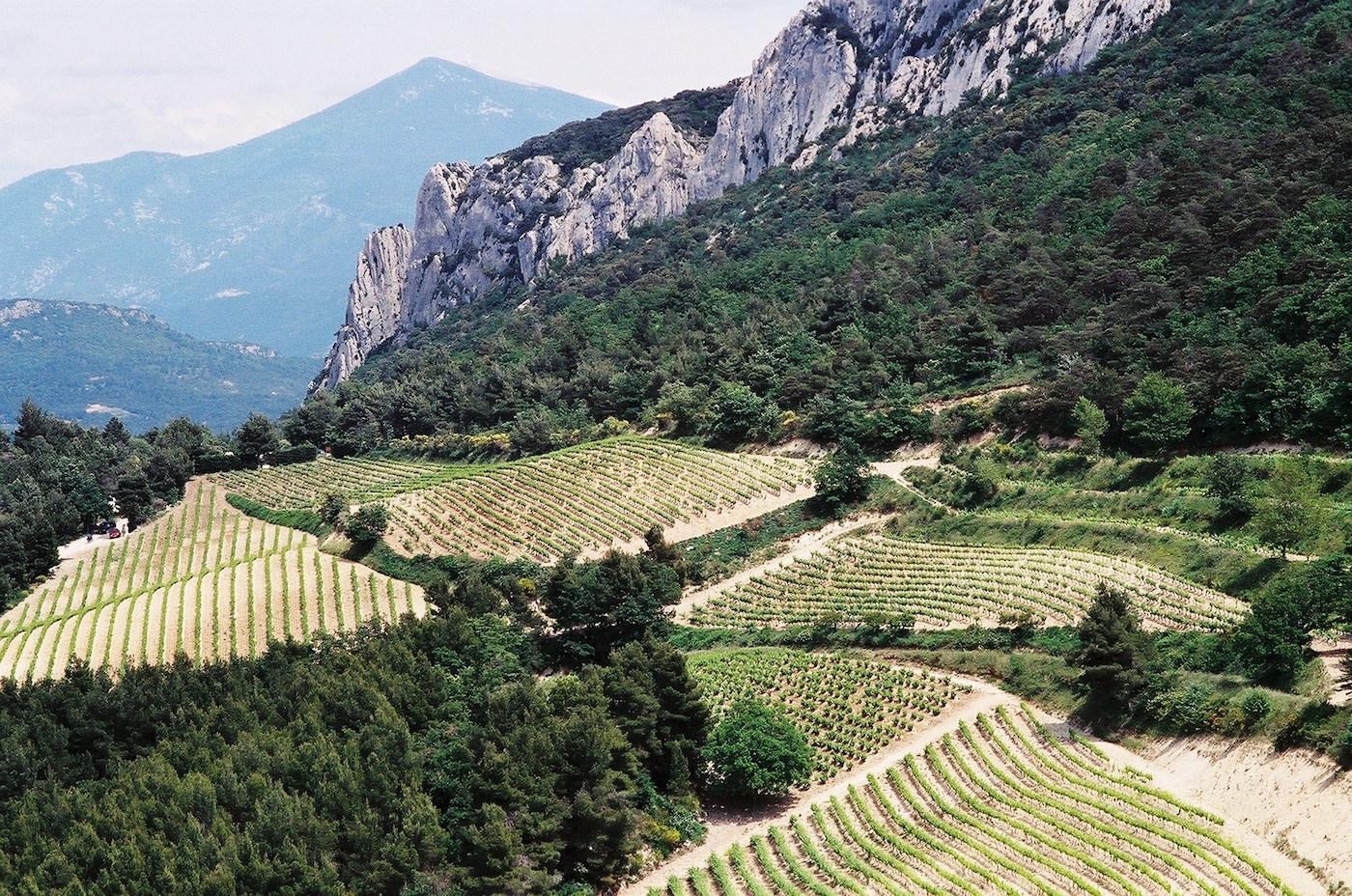 Why Gigondas 2017 & 16 should be on every wine lover’s radar