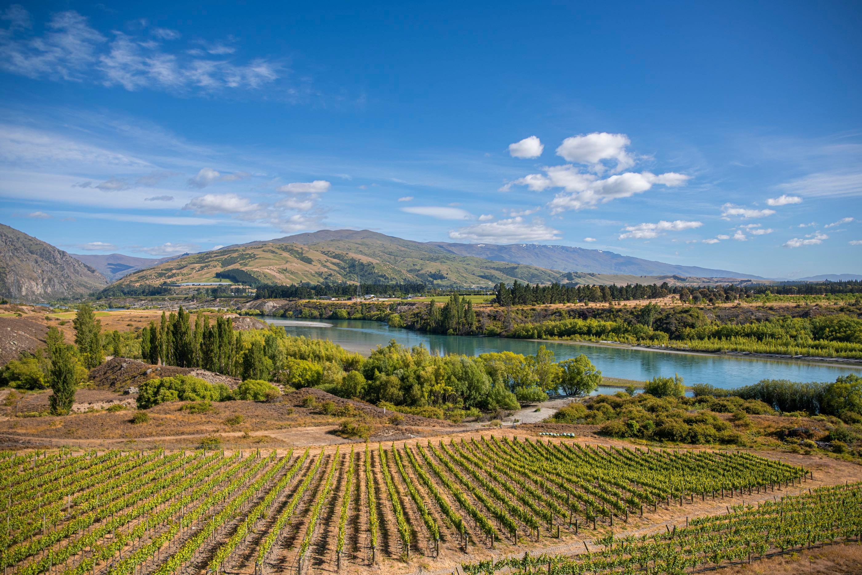 How Te Kano is building a legacy for its wines, land and vineyards  