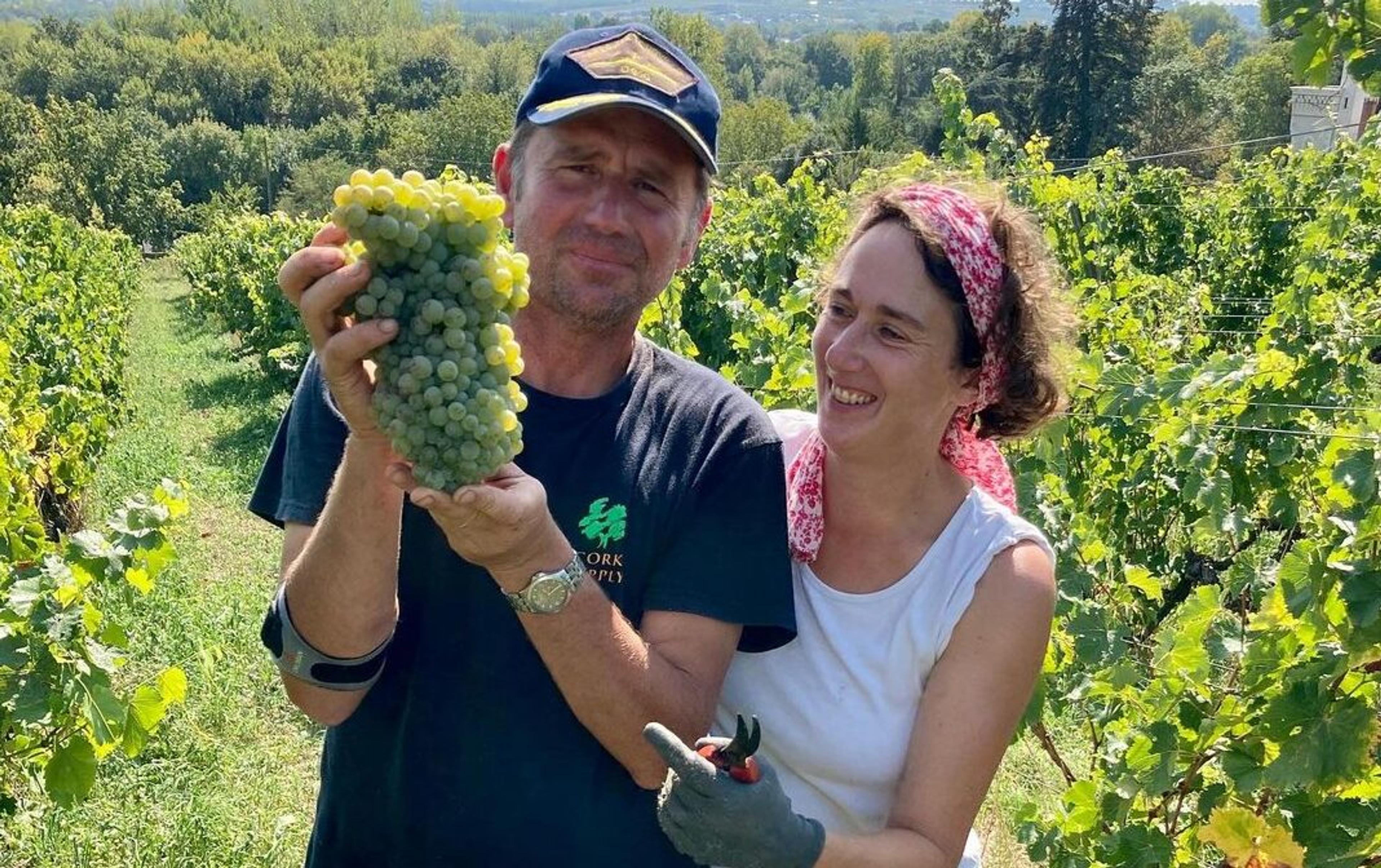 6 of the Best Loire Chenin Blancs picked by region expert Jim Budd