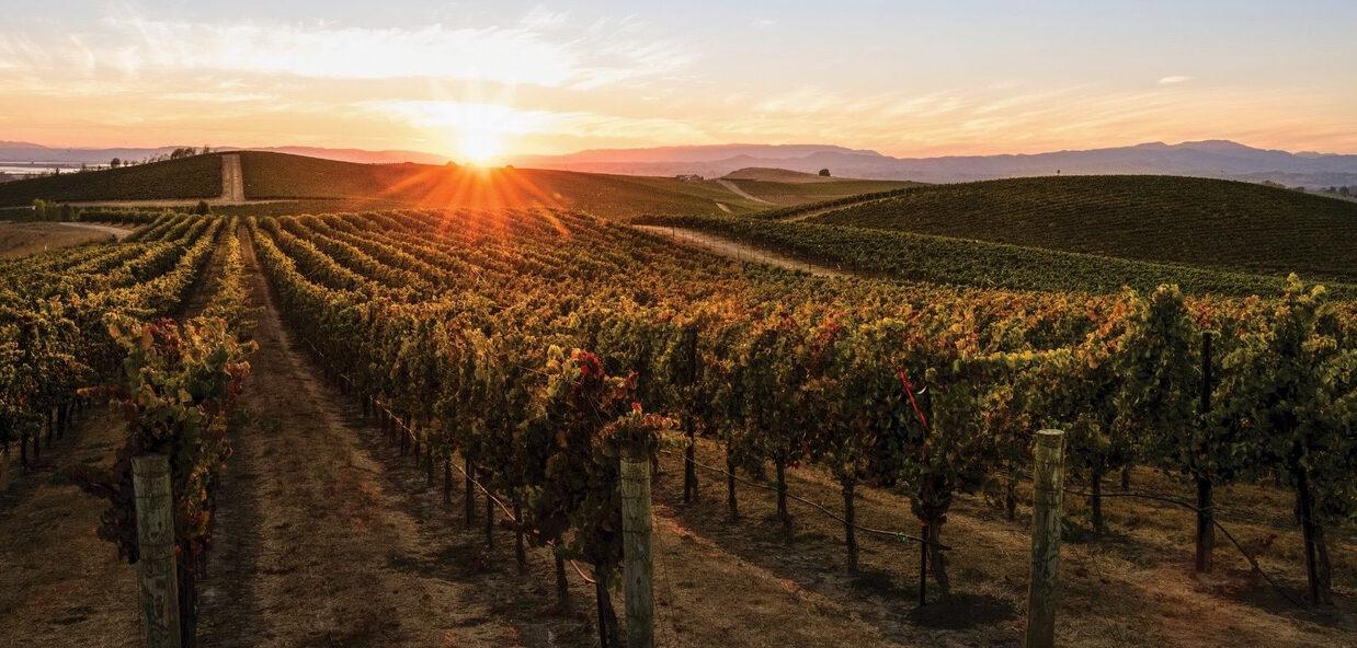 California’s Somm Session with Trinchero & Napa Cellars