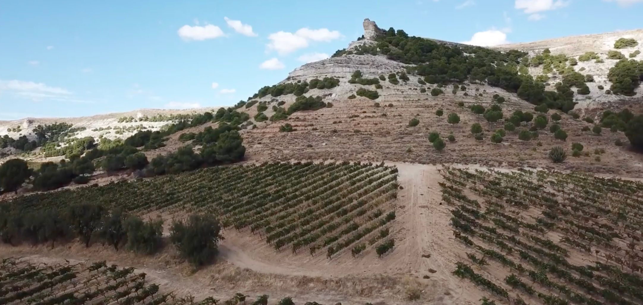 David Kermode on the "New Old World" of Ribera del Duero