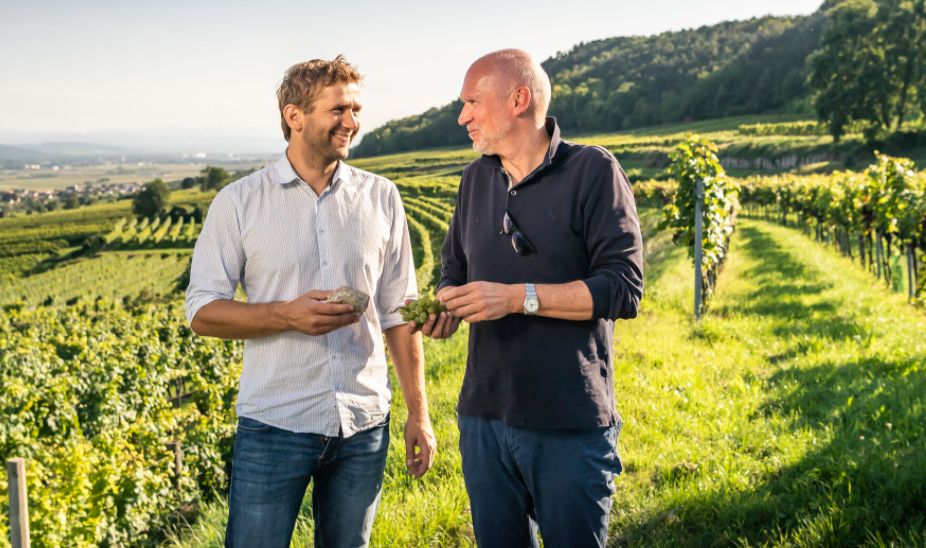 “Grüner for the world” by Lenz Moser & Markus Huber