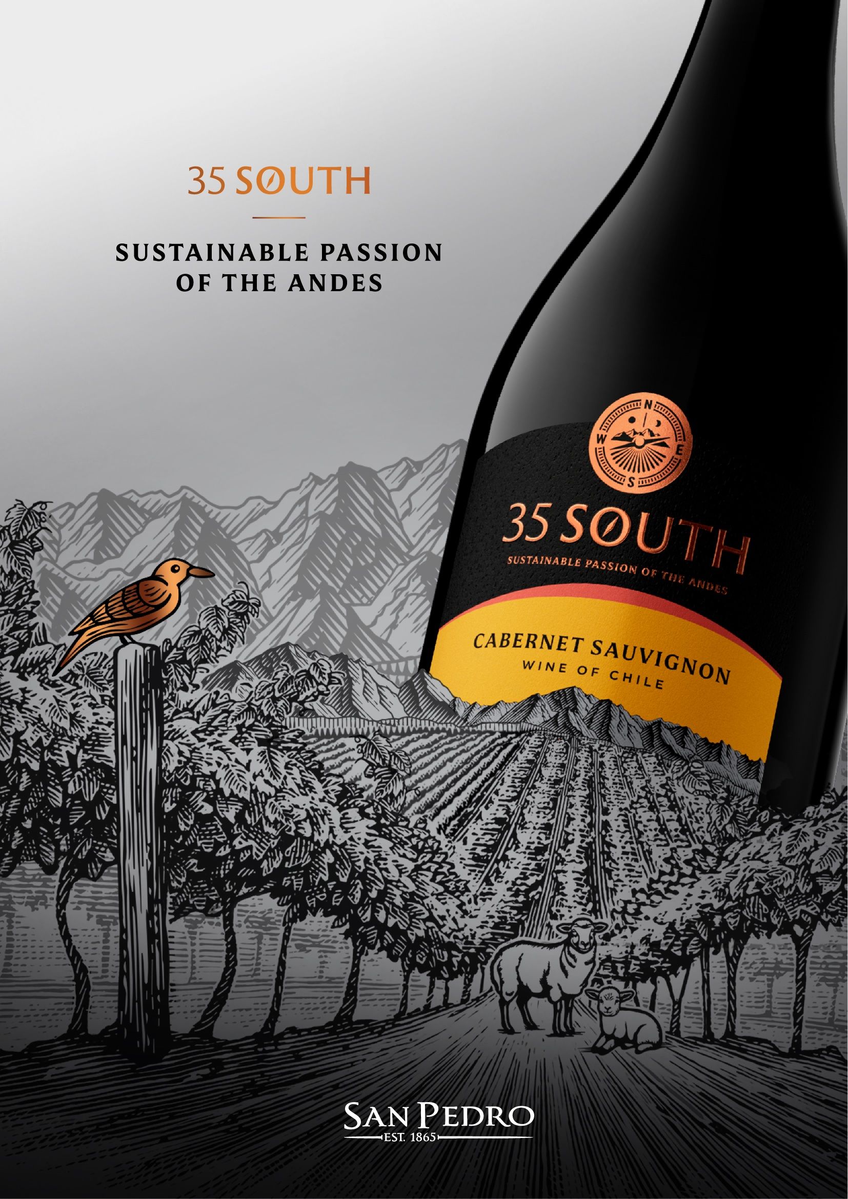 How VSPT has re-invented Chile’s 35 South wine brand for the UK market