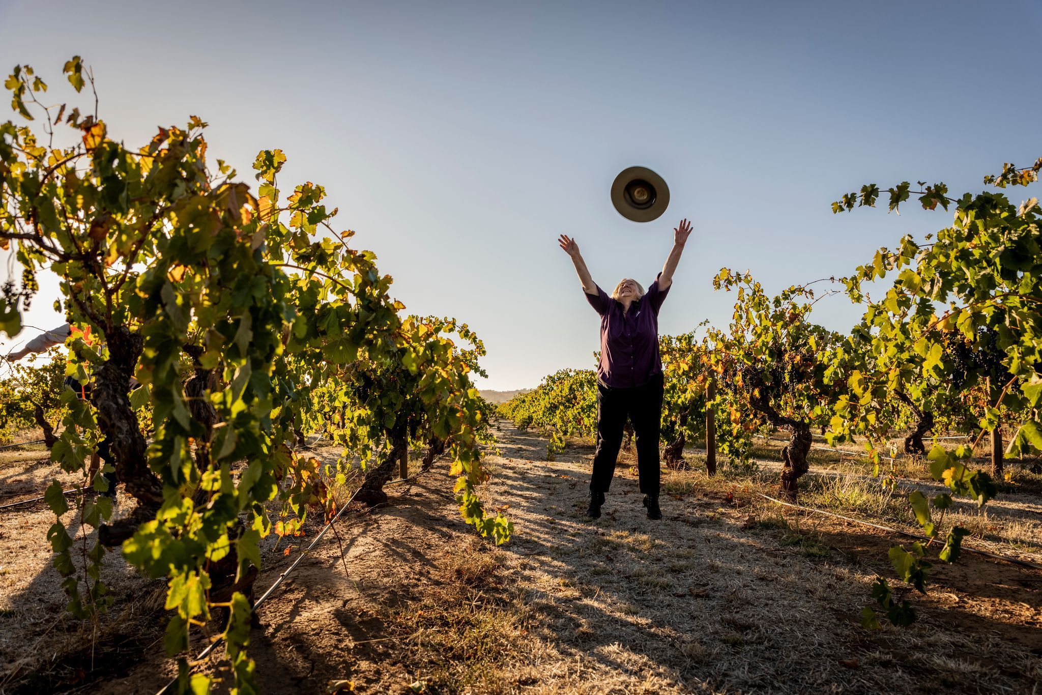 Jo Irvine on winning best wine in London Wine Competition