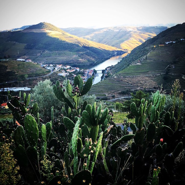 A recent change to serious wine-making is revealing a New Douro