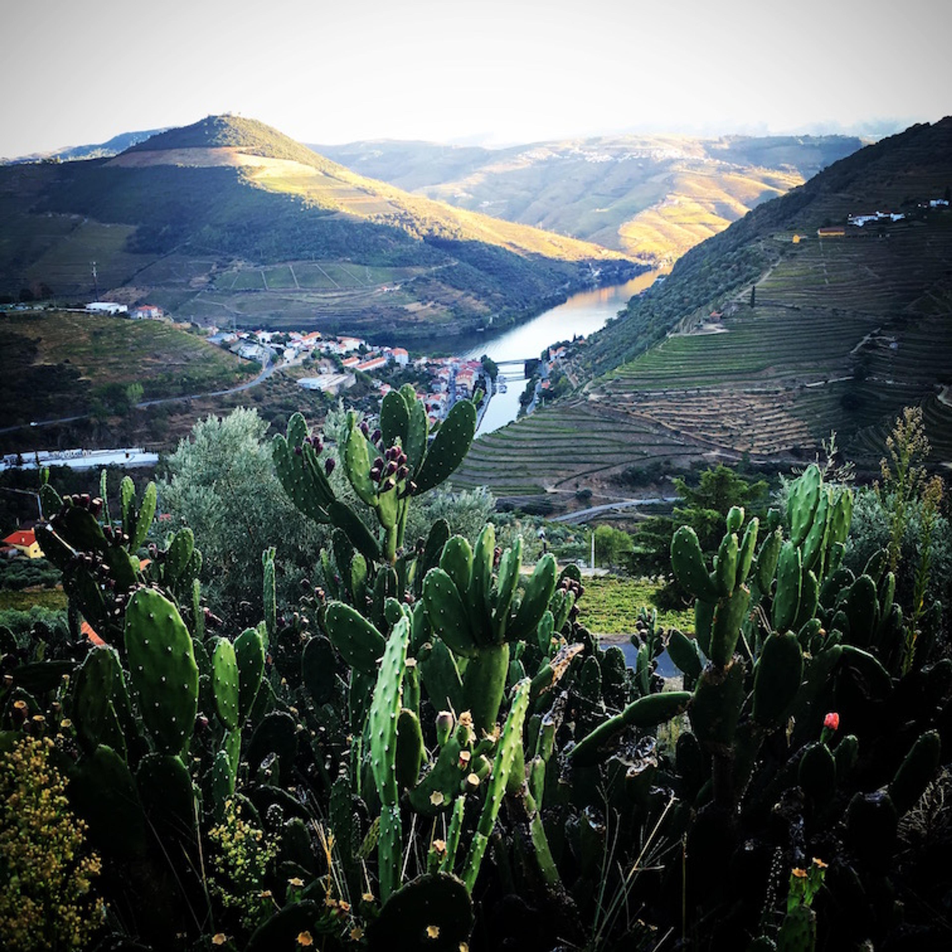 A recent change to serious wine-making is revealing a New Douro