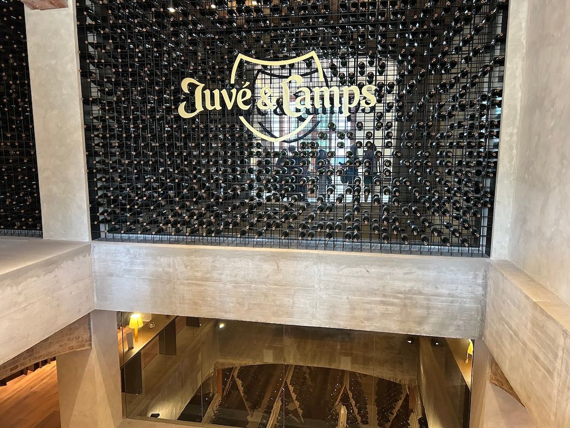 Visiting Juvé & Camps – Cava with focus, innovation and character