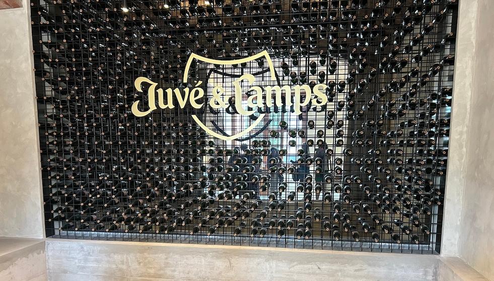 Visiting Juvé & Camps – Cava with focus, innovation and character