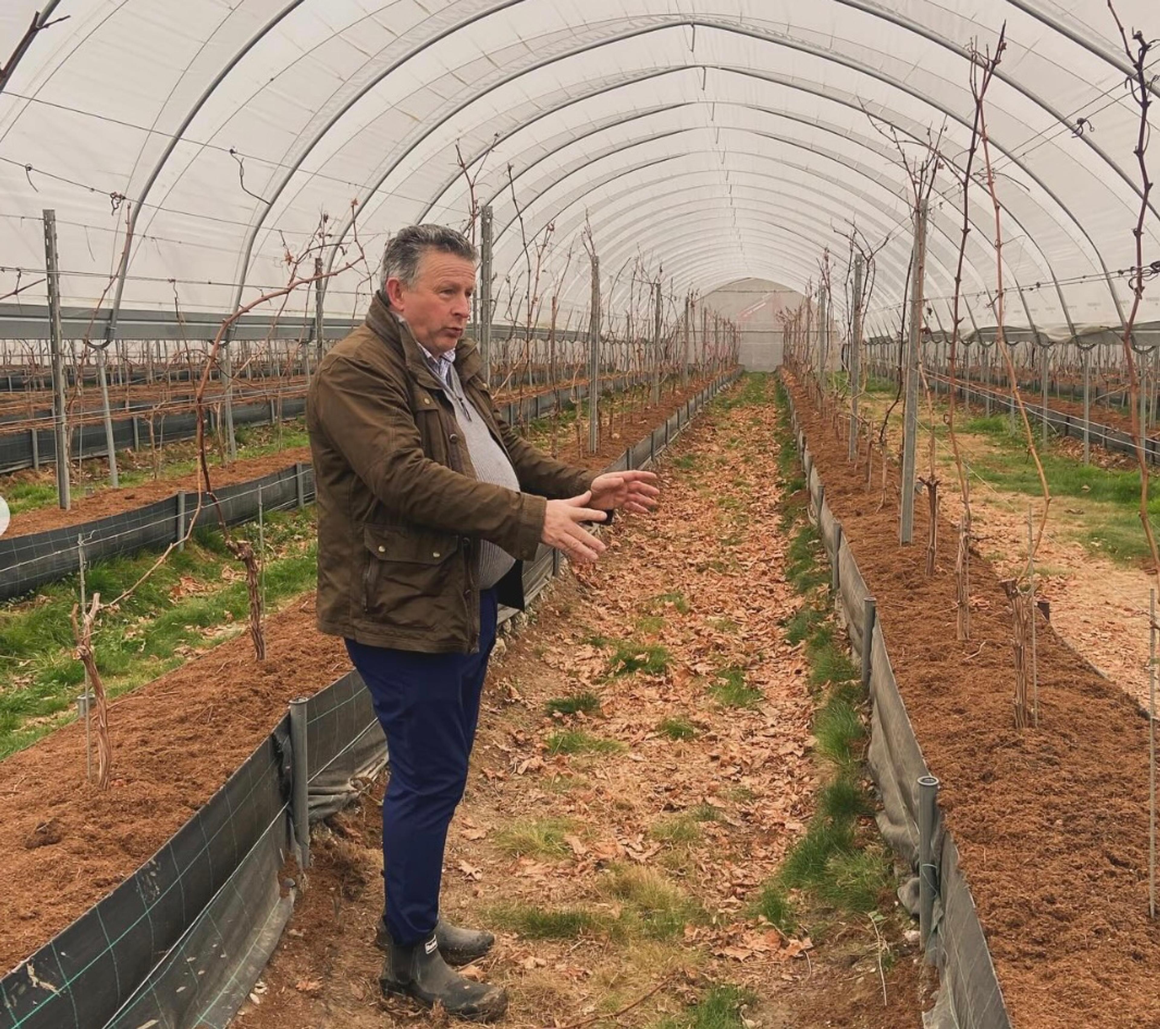 How Beaulieu 58 is bringing fruit farming expertise to English wine