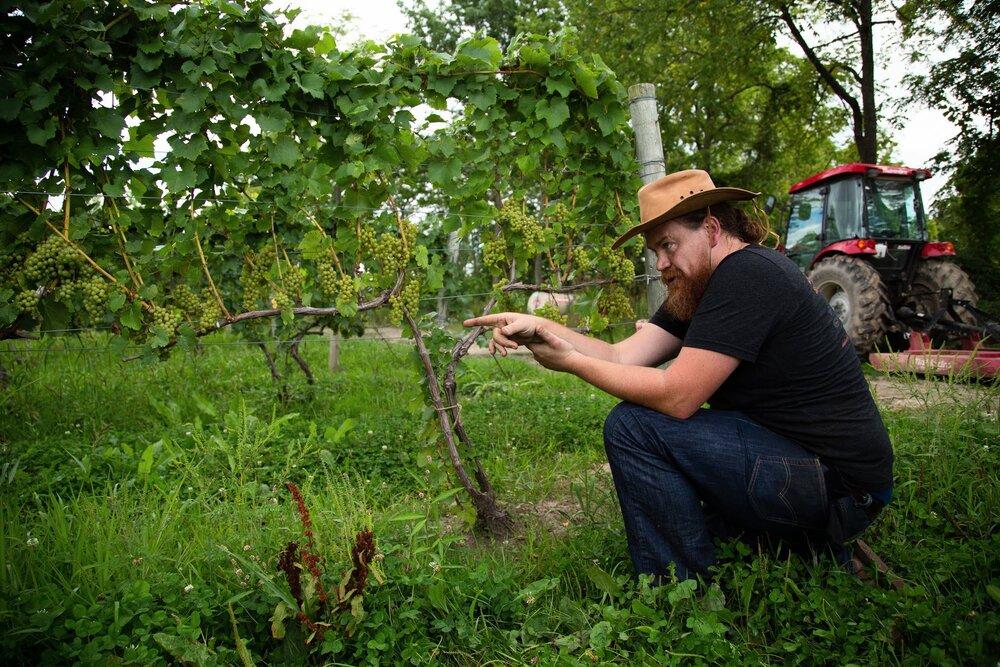 Why New York Cabernet Franc is becoming the new black