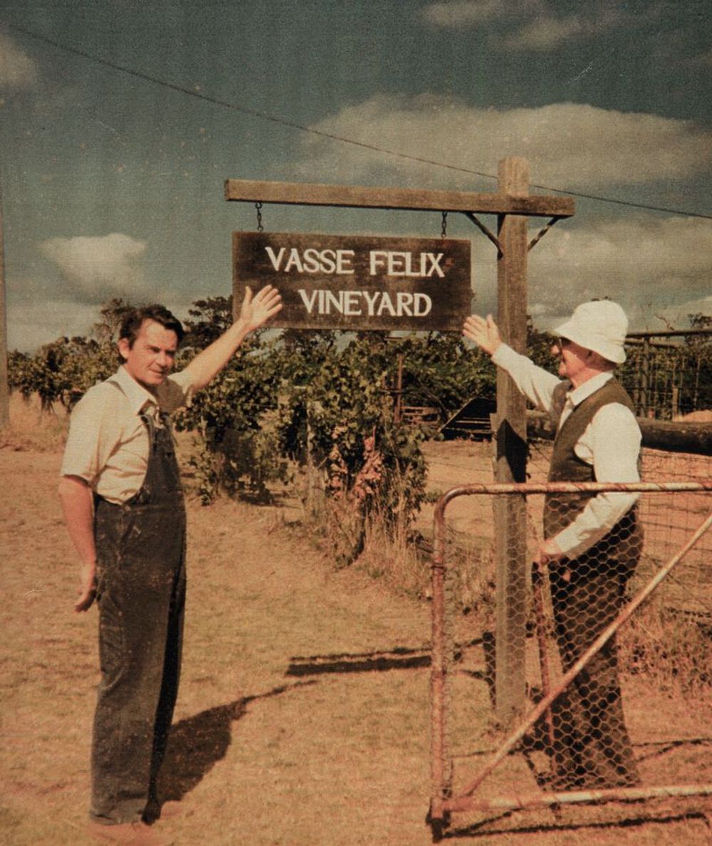 Vasse Felix