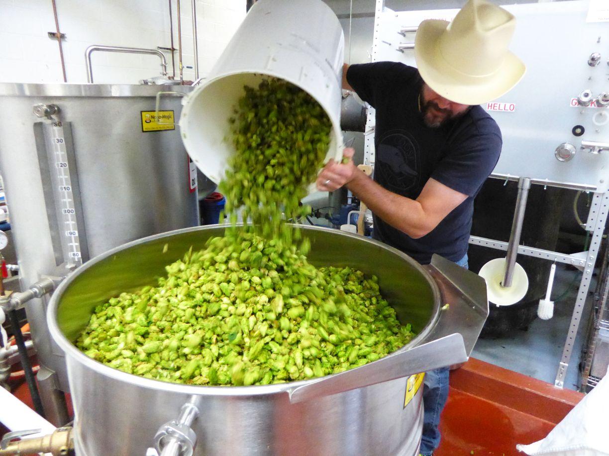 Rupert Ponsonby’s homage to hops and all who use them