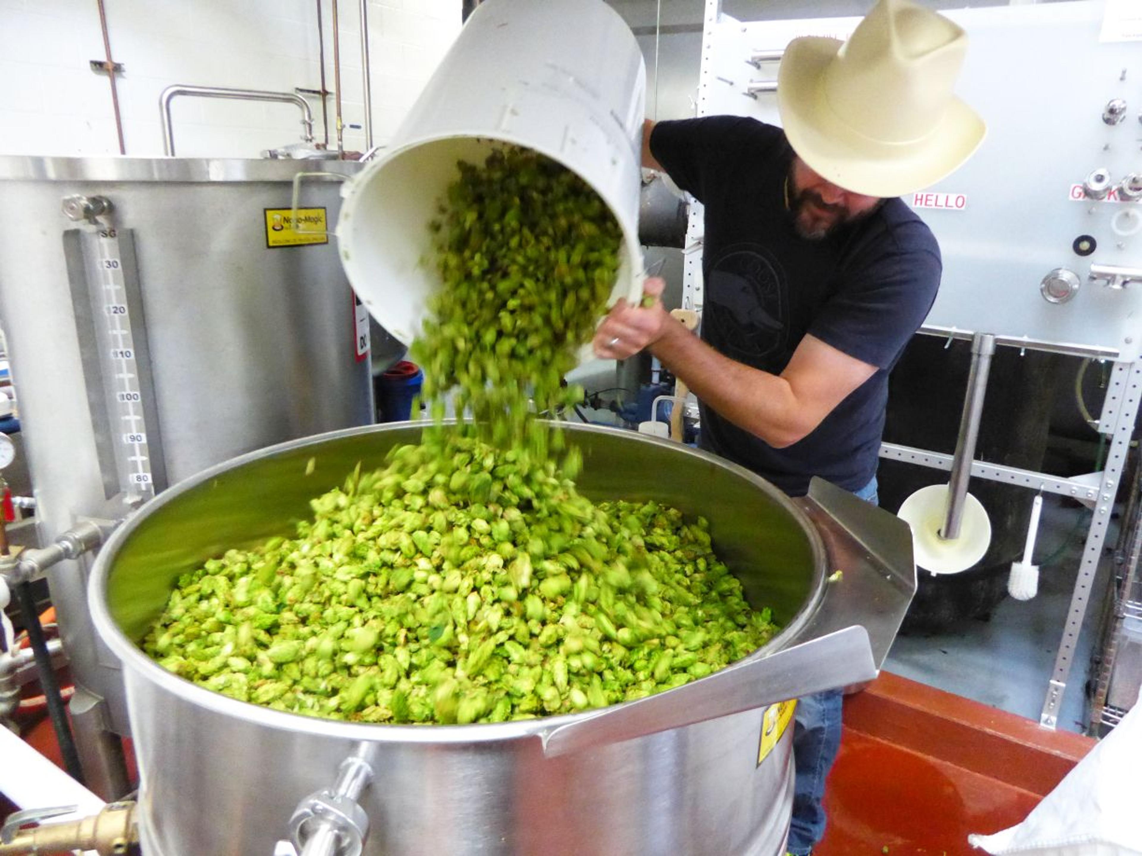 Rupert Ponsonby’s homage to hops and all who use them