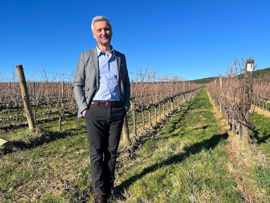 The Buyer | Ornellaia 2023: why Balsimellis debut vintage is La Dolce Vitalità