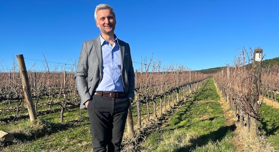 Ornellaia 2023: why Balsimelli’s debut vintage is ‘La Dolce Vitalità’