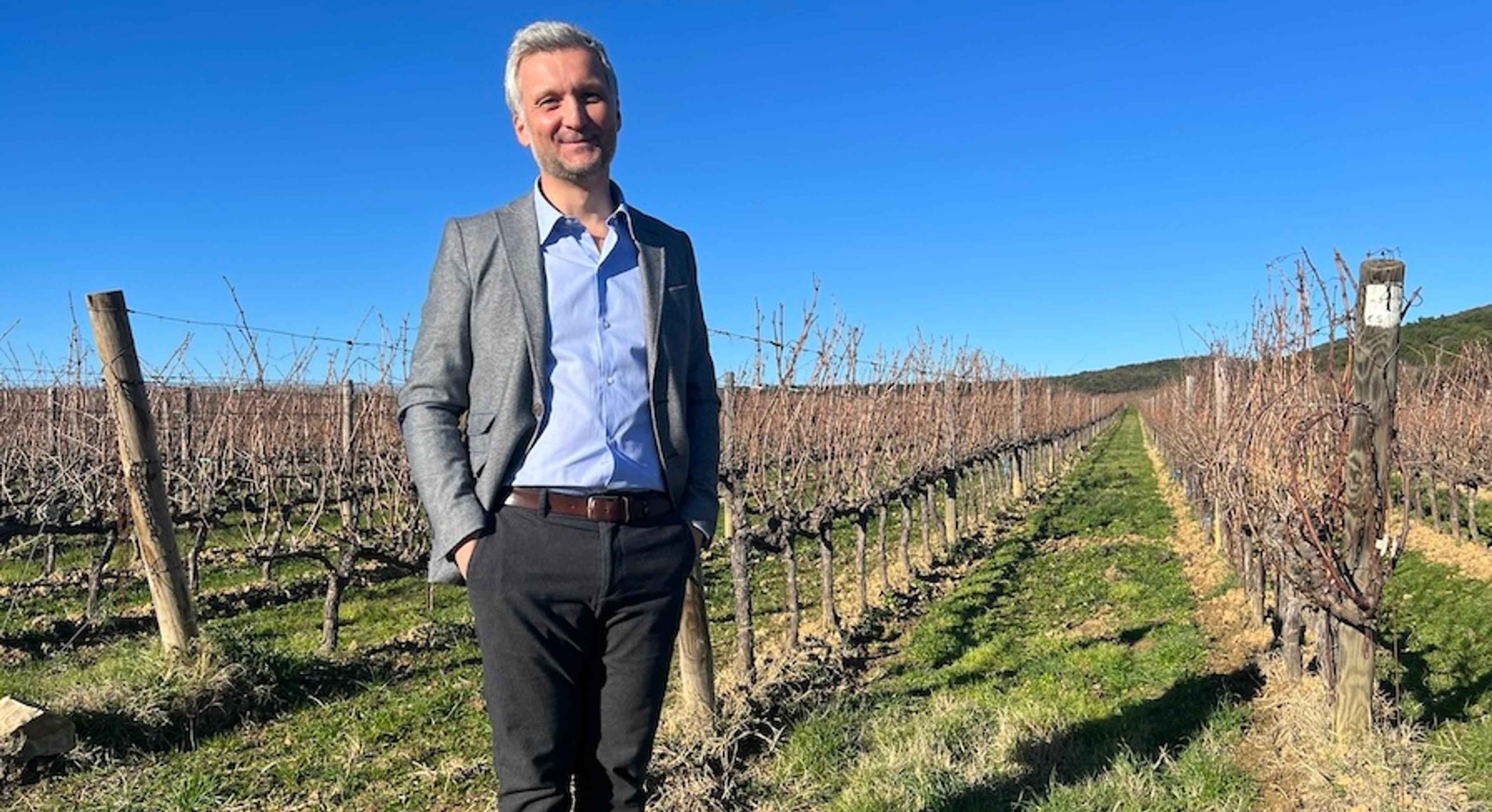 Ornellaia 2023: why Balsimelli’s debut vintage is ‘La Dolce Vitalità’
