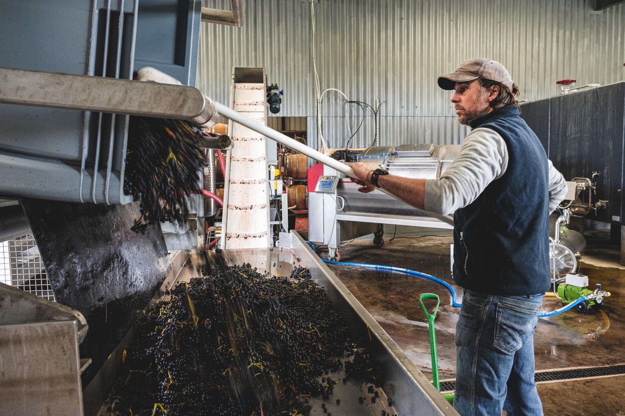 Ben Witchell: how Charmat breaks the myth of expensive English fizz