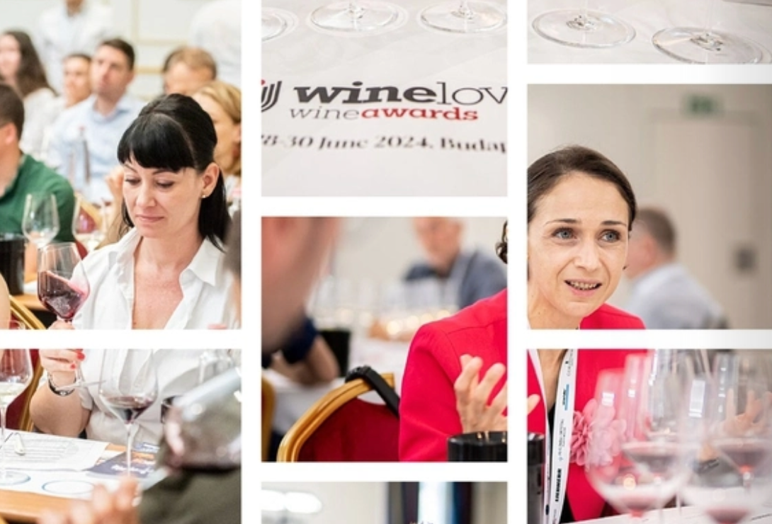 Winelovers Wine awards releases brochure with all medal winners 