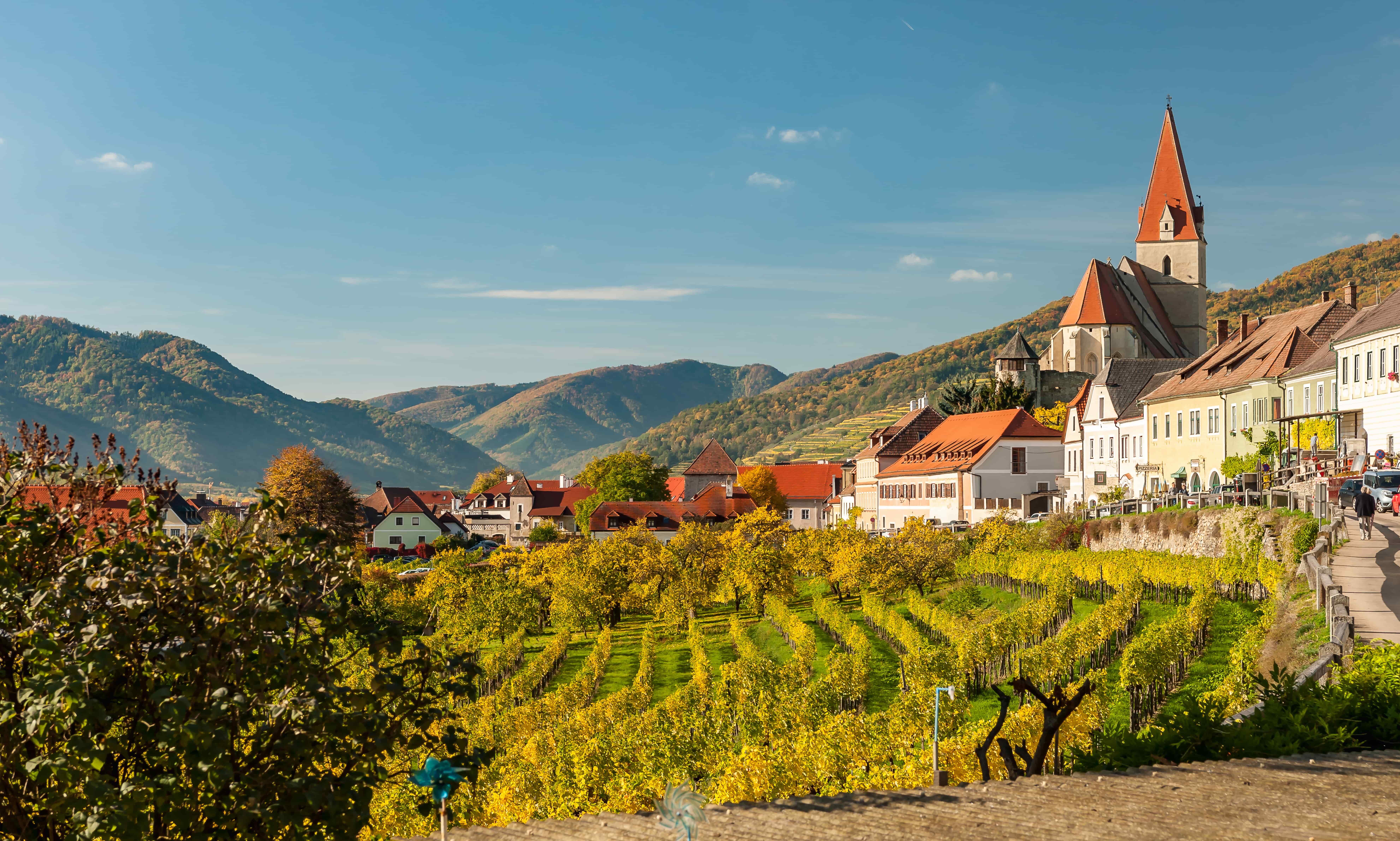 Discovering Austrian winemaking in Vienna, Wagram and Carnuntum  