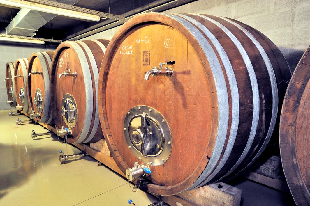 Caroline Gilby MW on the rise of Hungarian oak barrels
