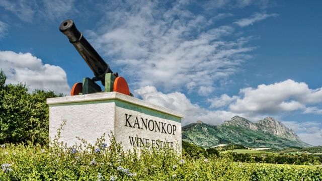 Roger Jones on 13 vintages of Kanonkop Black Label Pinotage 