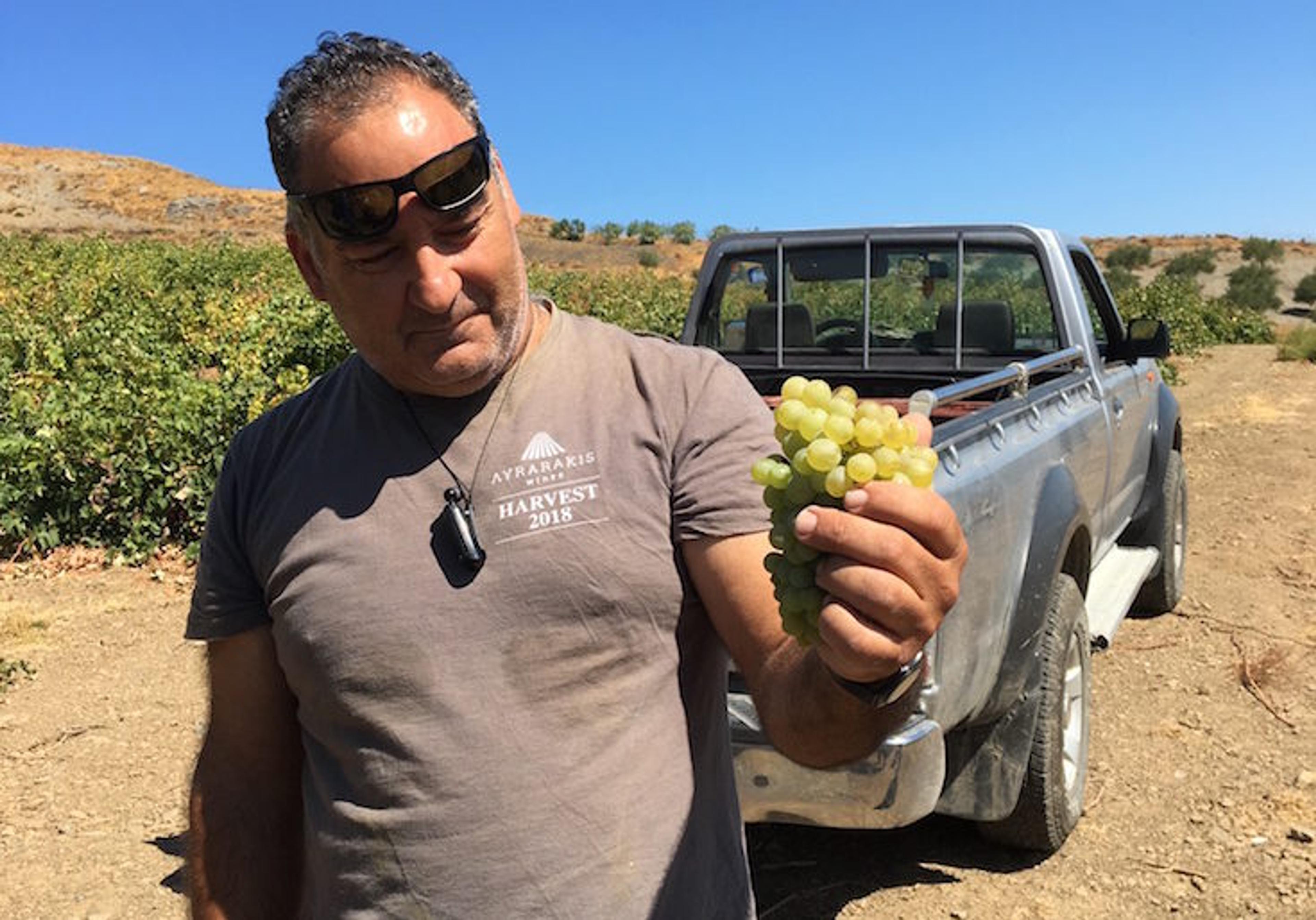 Kate Hawkings shares her passion for Crete’s Lyrarakis