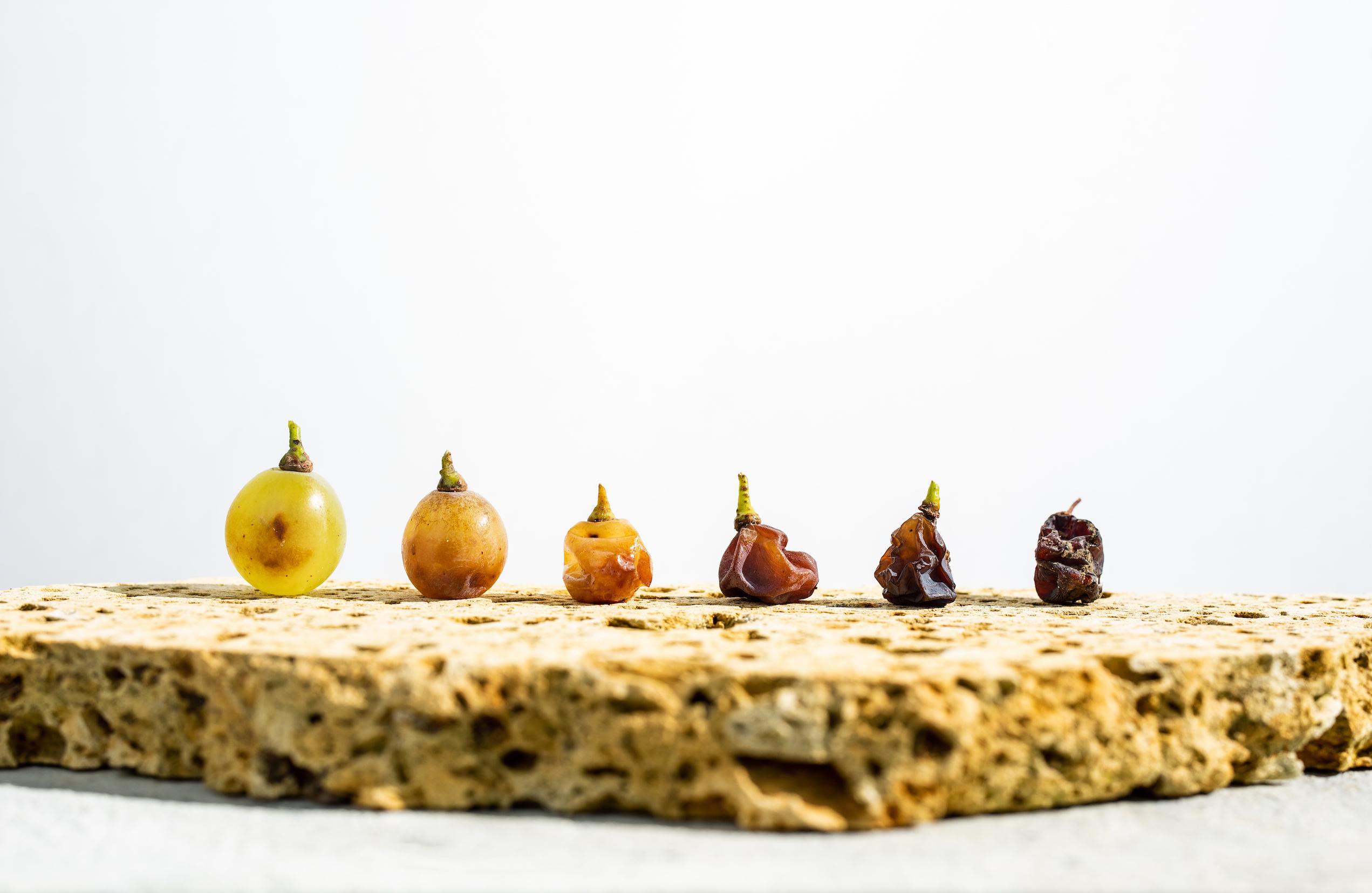 Why 2020 was a tough vintage for Hungary’s Tokaj wine region