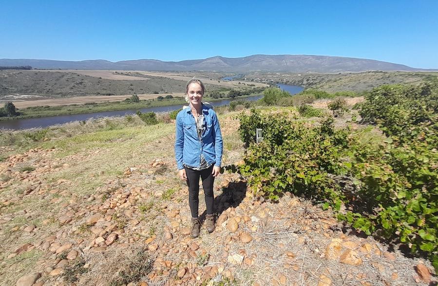 Marginal viticulture in South Africa: wineries making wine 'on the edge'