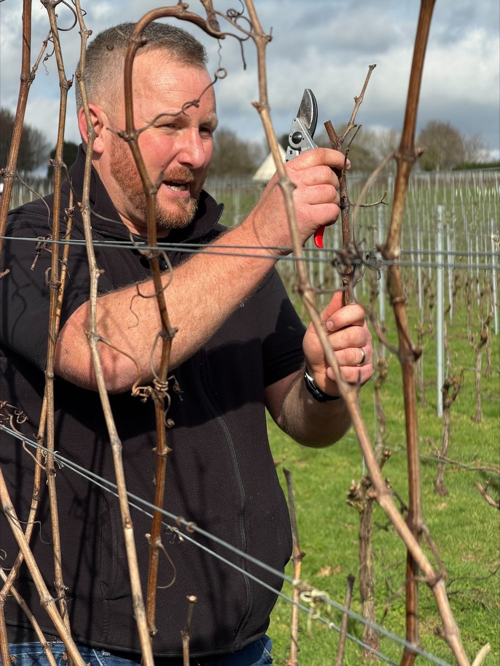 Roebuck Estate Viticulture Academy