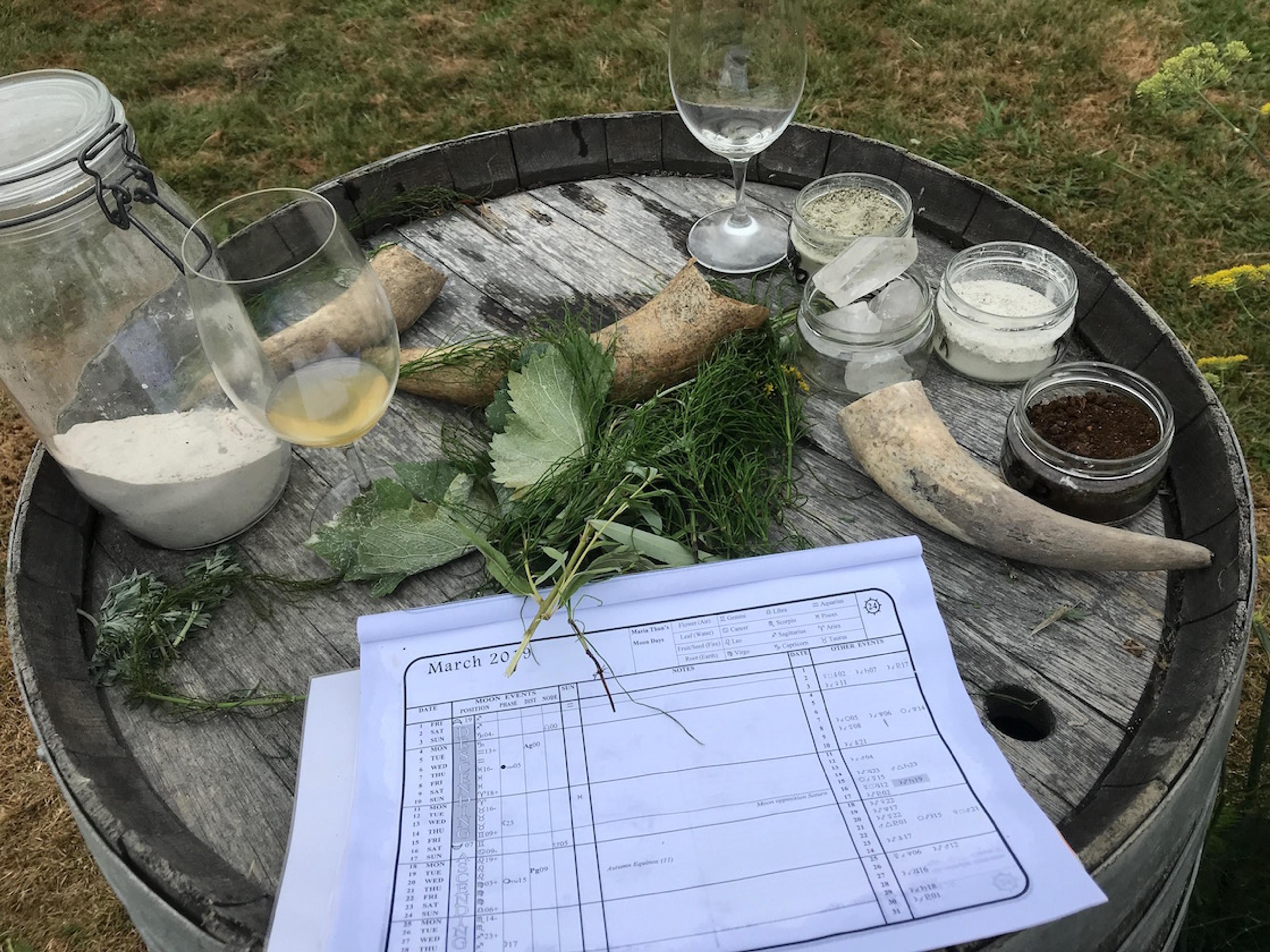Mike Turner on the ‘witchcraft’ practices of biodynamics