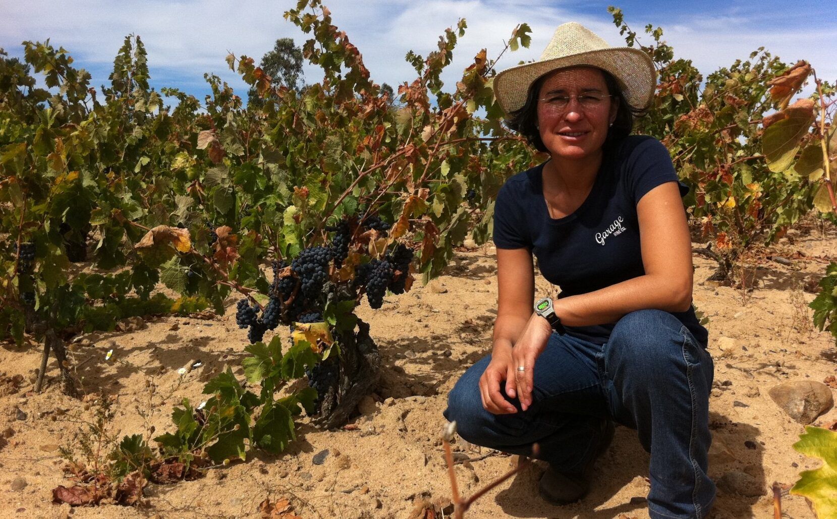 Why there is a wine revolution taking place in the South of Chile