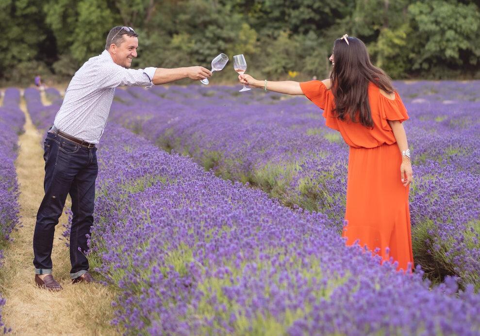 Getting to grips with the underrated wines of the Luberon