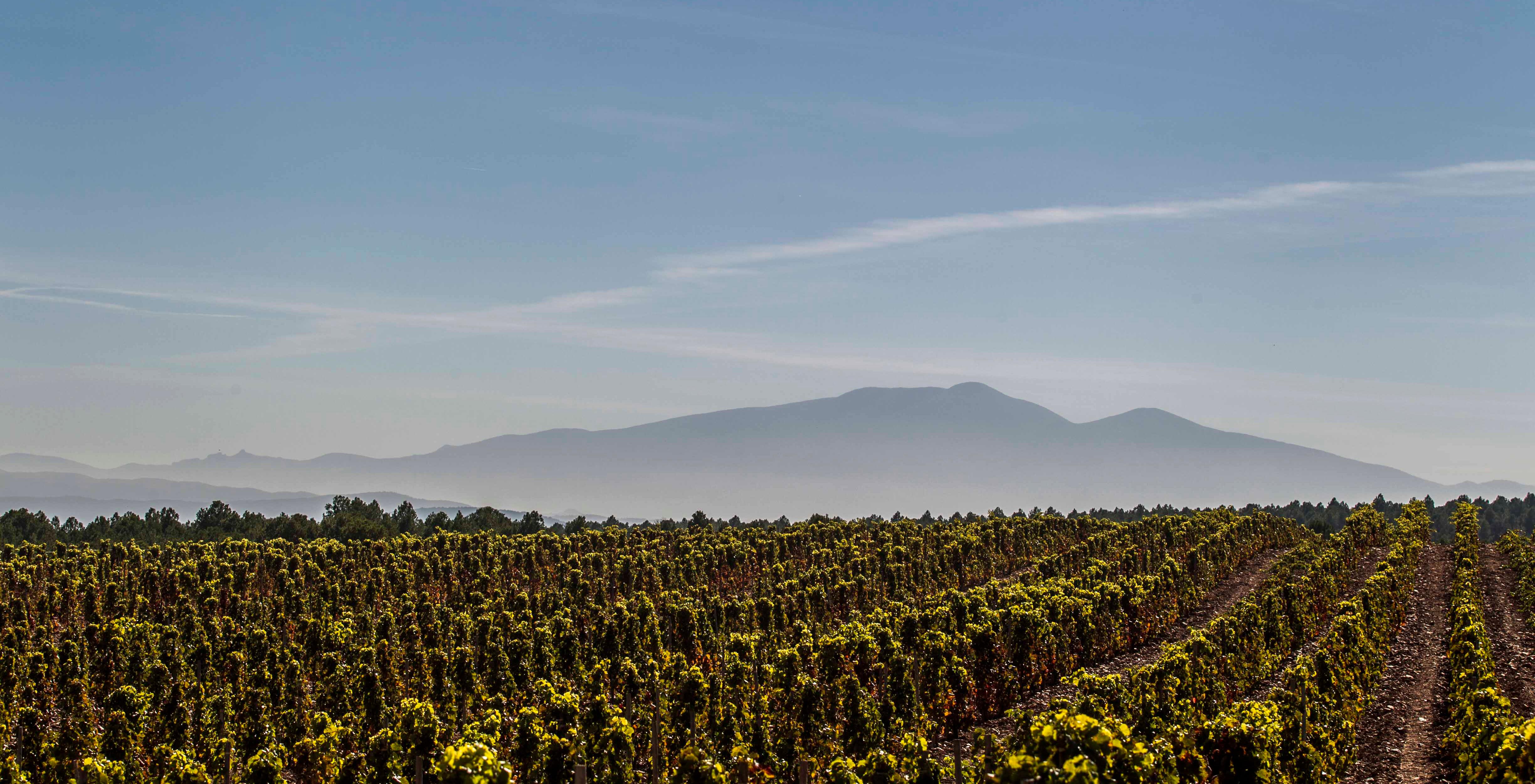 Rioja Somm'er School: Exploring the diversity of Rioja Oriental 