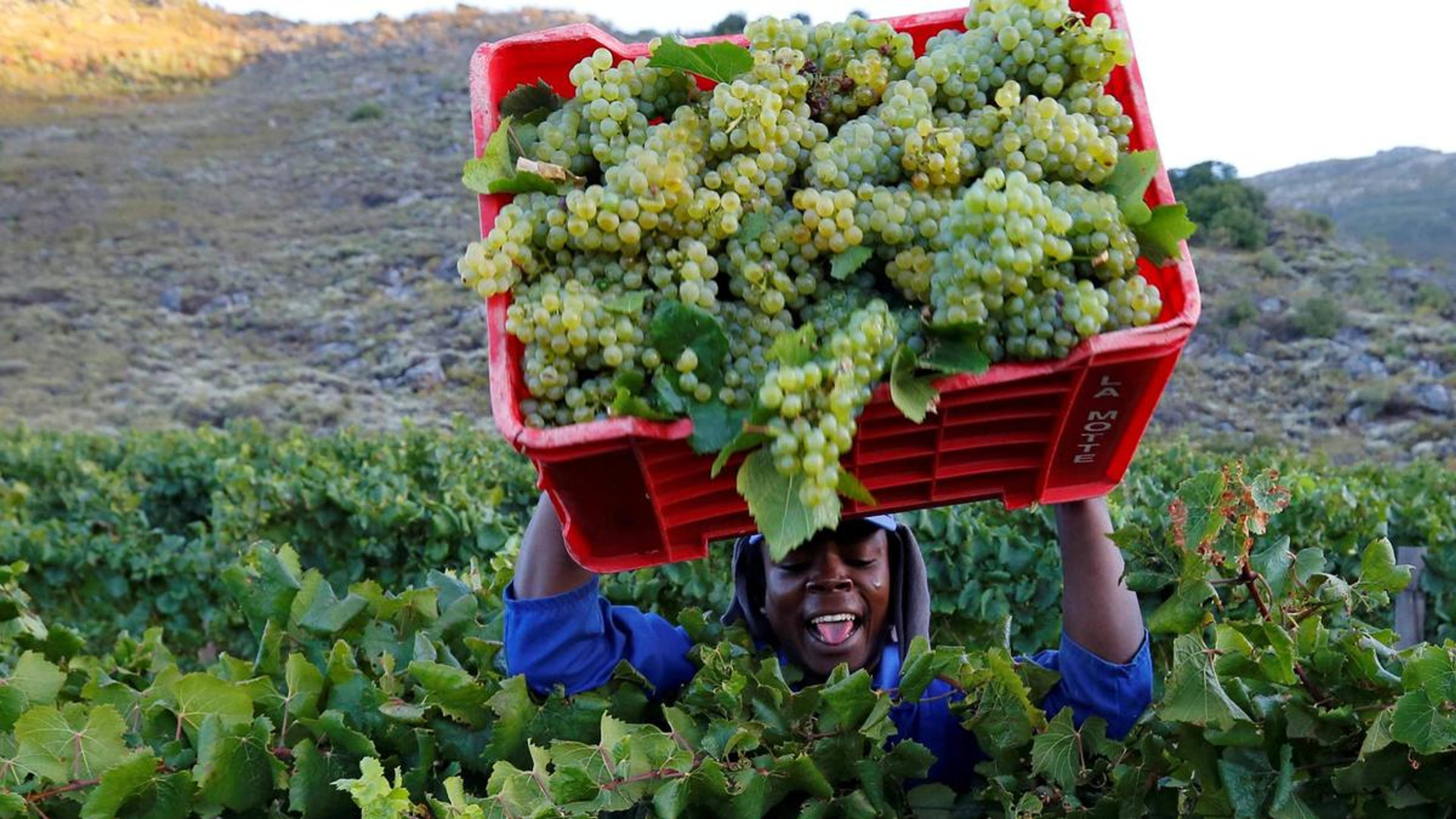 Driving an ethical sustainable agenda sets South Africa apart
