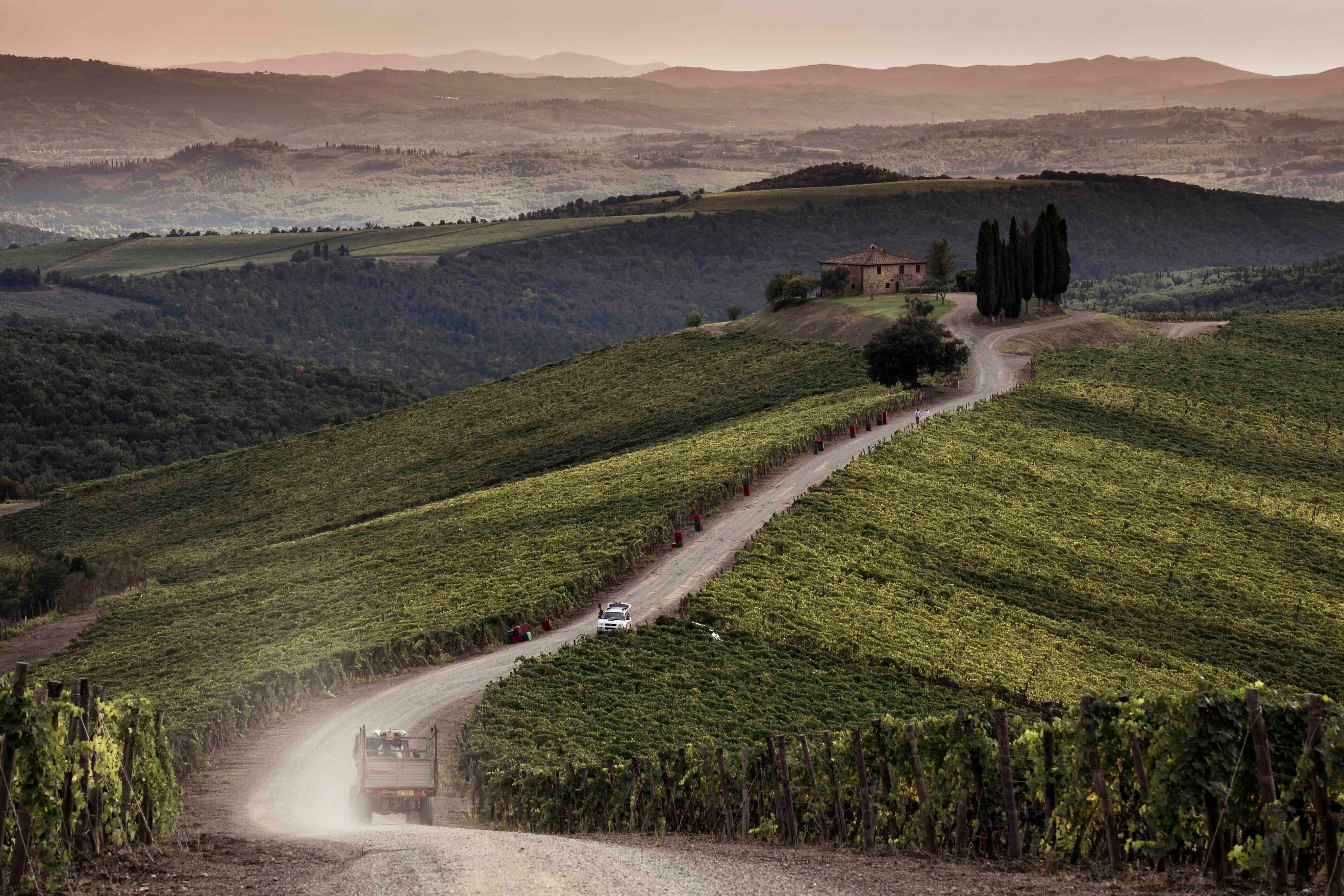 How Tuscany's Castiglion del Bosco is investing in its fine wine future