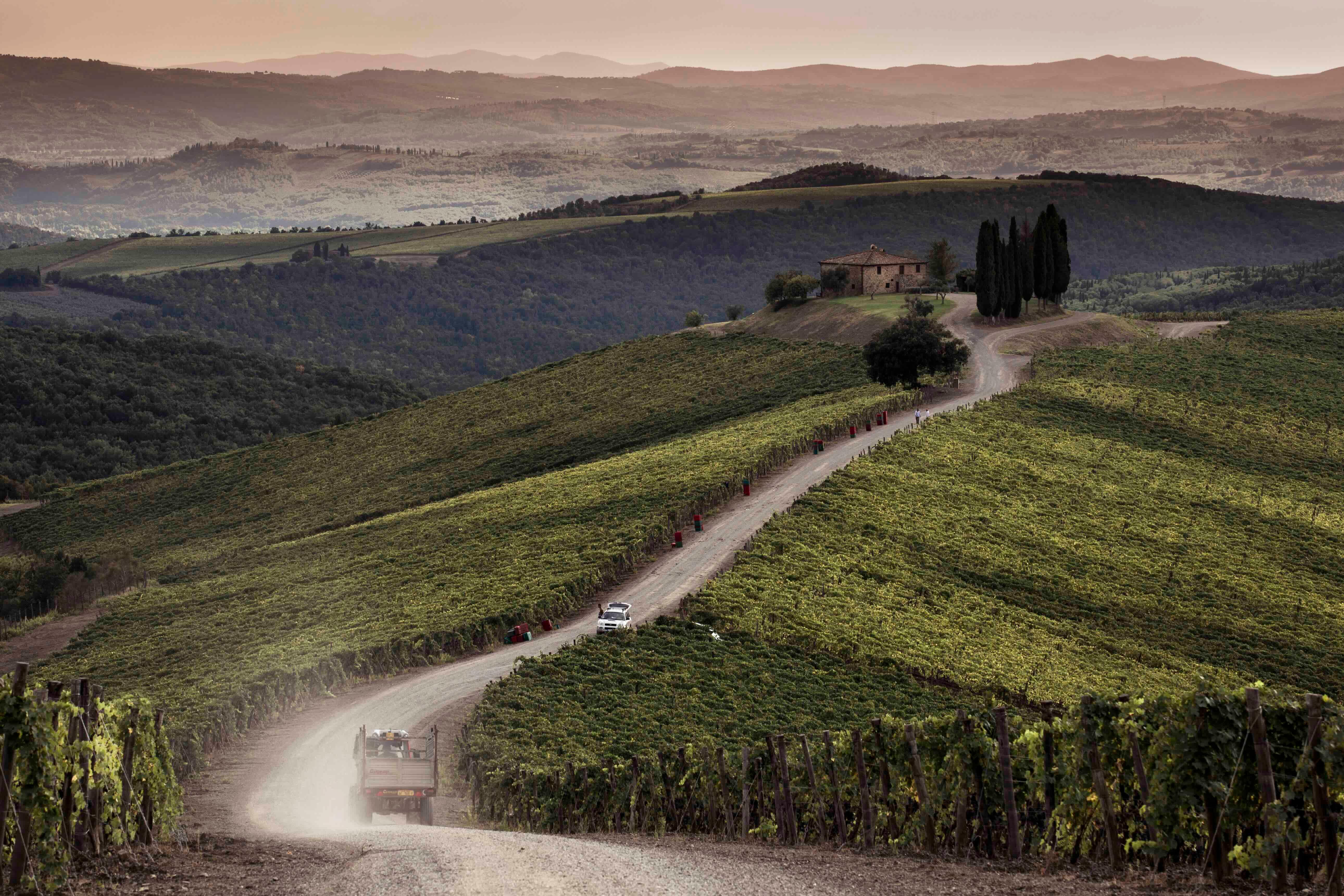 How Tuscany's Castiglion del Bosco is investing in its fine wine future