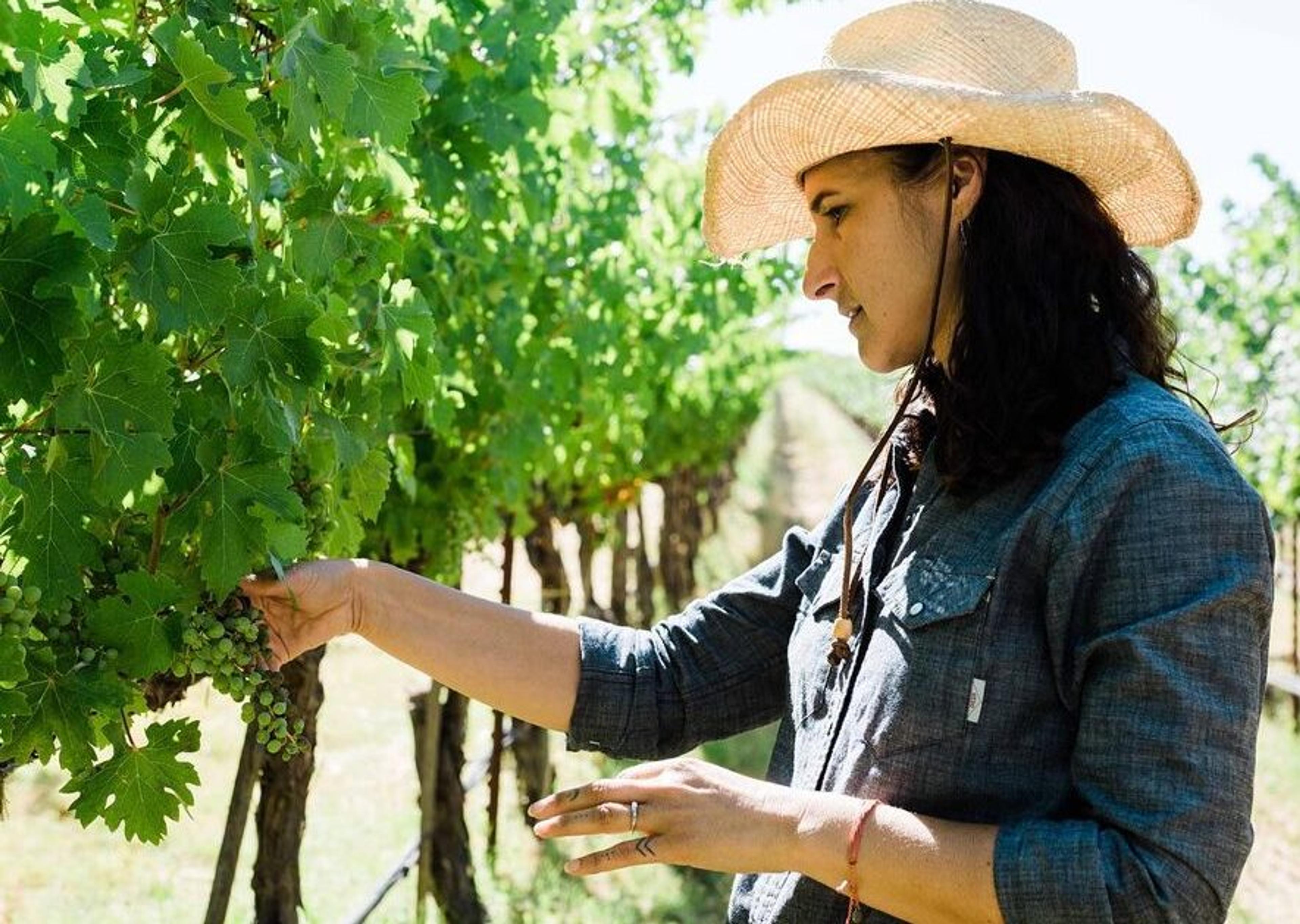 Lisse Garnett: Where Quintessa fits within the new age of Napa