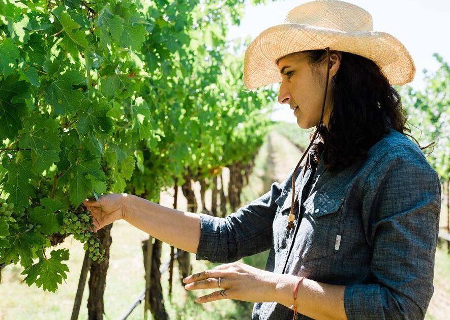 Lisse Garnett: Where Quintessa fits within the new age of Napa